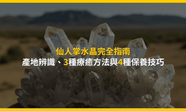 仙人掌水晶功效是真的嗎?專家從鑑定、能量到保養的8大真心話