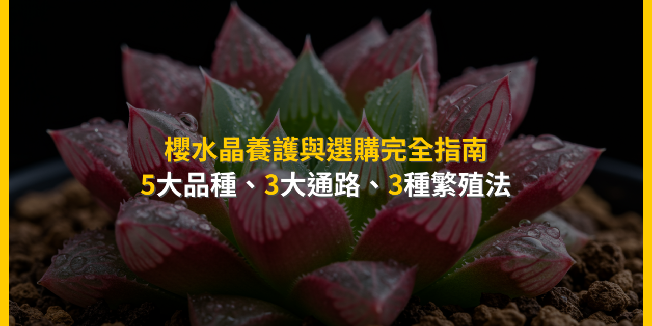 櫻水晶養護與選購完全指南:5大品種、3大通路、3種繁殖法