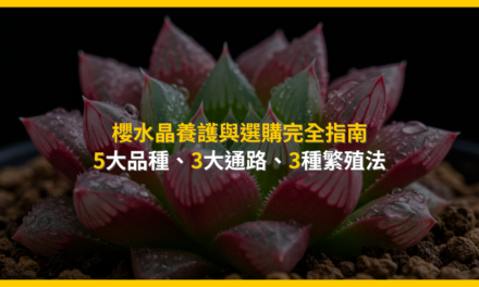 櫻水晶養護與選購完全指南：5大品種、3大通路、3種繁殖法