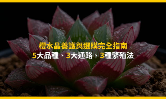 櫻水晶養護與選購完全指南:5大品種、3大通路、3種繁殖法