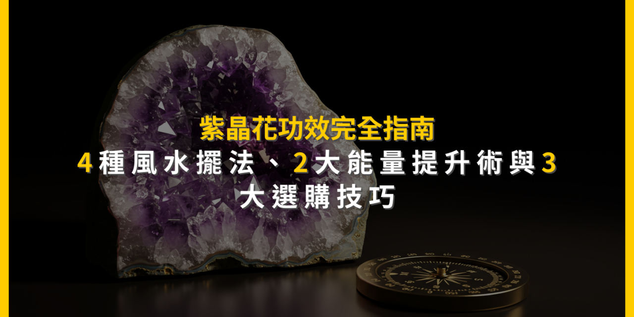 紫晶花功效完全指南：4種風水擺法、2大能量提升術與3大選購技巧
