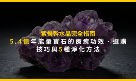 紫骨幹水晶完全指南:5.4億年能量寶石的療癒功效、選購技巧與5種淨化方法